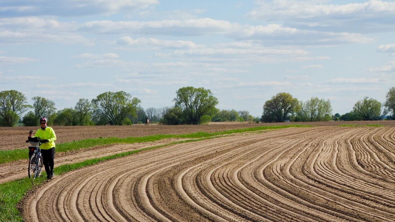 Ein frisch bestelltes Feld mit den Drillfurchen im Ackerboden nahe der Stadt Usedom auf der Insel Usedom (Mecklenburg-Vorpommern). Ein frisch bestelltes Feld mit den Drillfurchen im Ackerboden nahe der Stadt Usedom auf der Insel Usedom (Mecklenburg-Vorpommern).