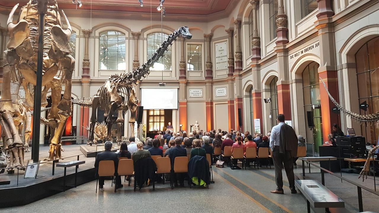Forschende und Museumsmitarbeiter aus mehr als 20 Ländern haben sich in Berlin zur Weltweit ersten internationalen Konferenz von Forschungsmuseen getroffen. Autor: Michael Stang, 6. November 2018 Forschende und Museumsmitarbeiter aus mehr als 20 Ländern haben sich in Berlin zur Weltweit ersten internationalen Konferenz von Forschungsmuseen getroffen. Autor: Michael Stang, 6. November 2018