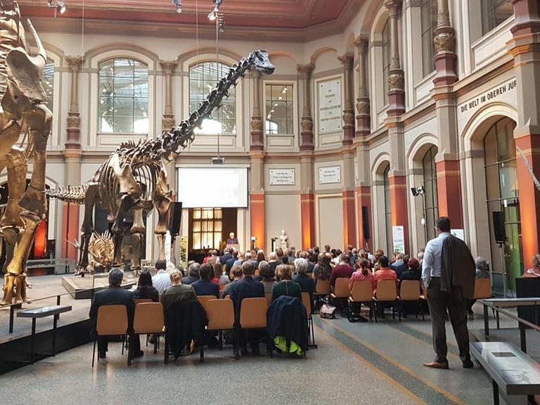 Forschende und Museumsmitarbeiter aus mehr als 20 Ländern haben sich in Berlin zur Weltweit ersten internationalen Konferenz von Forschungsmuseen getroffen. Autor: Michael Stang, 6. November 2018