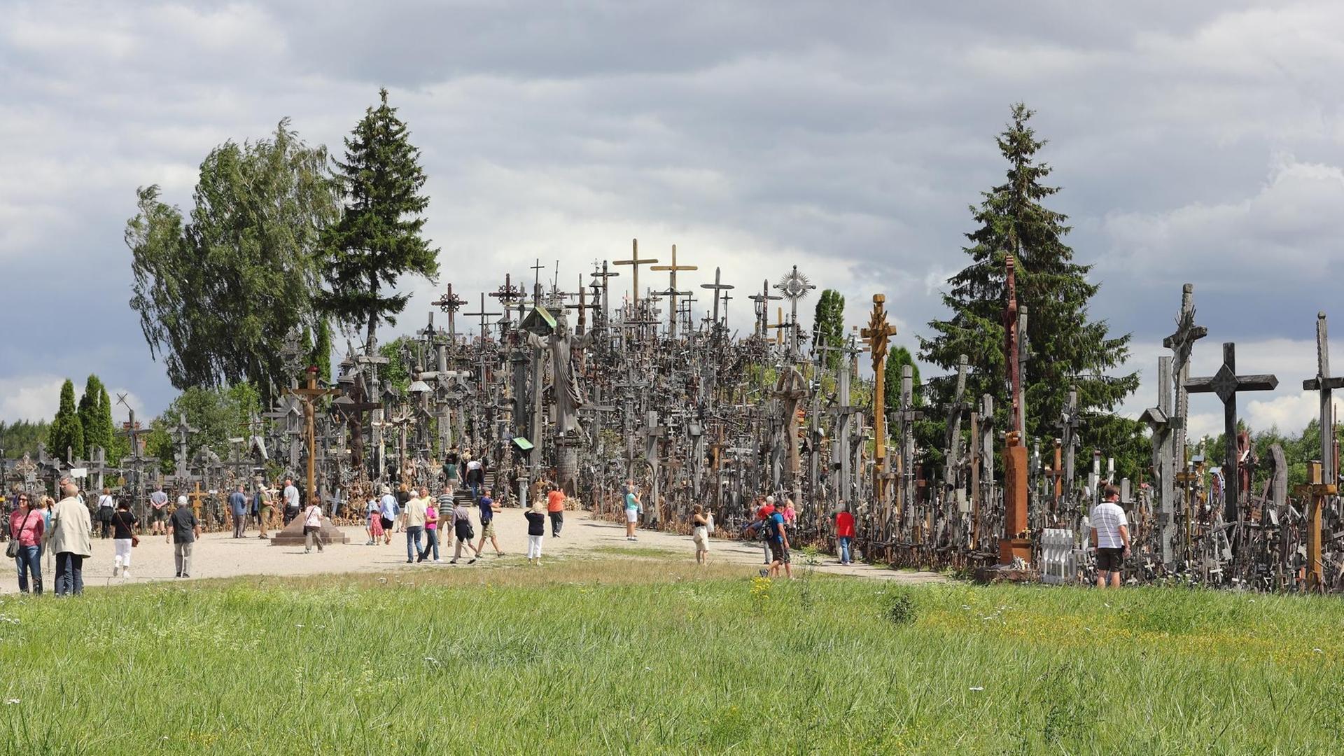 Ein Farbfoto zeigt eine Anhöhe auf einer Wiese übersät unzähligen Metallkreuzen jeglicher Größe Ein Farbfoto zeigt eine Anhöhe auf einer Wiese übersät unzähligen Metallkreuzen jeglicher Größe