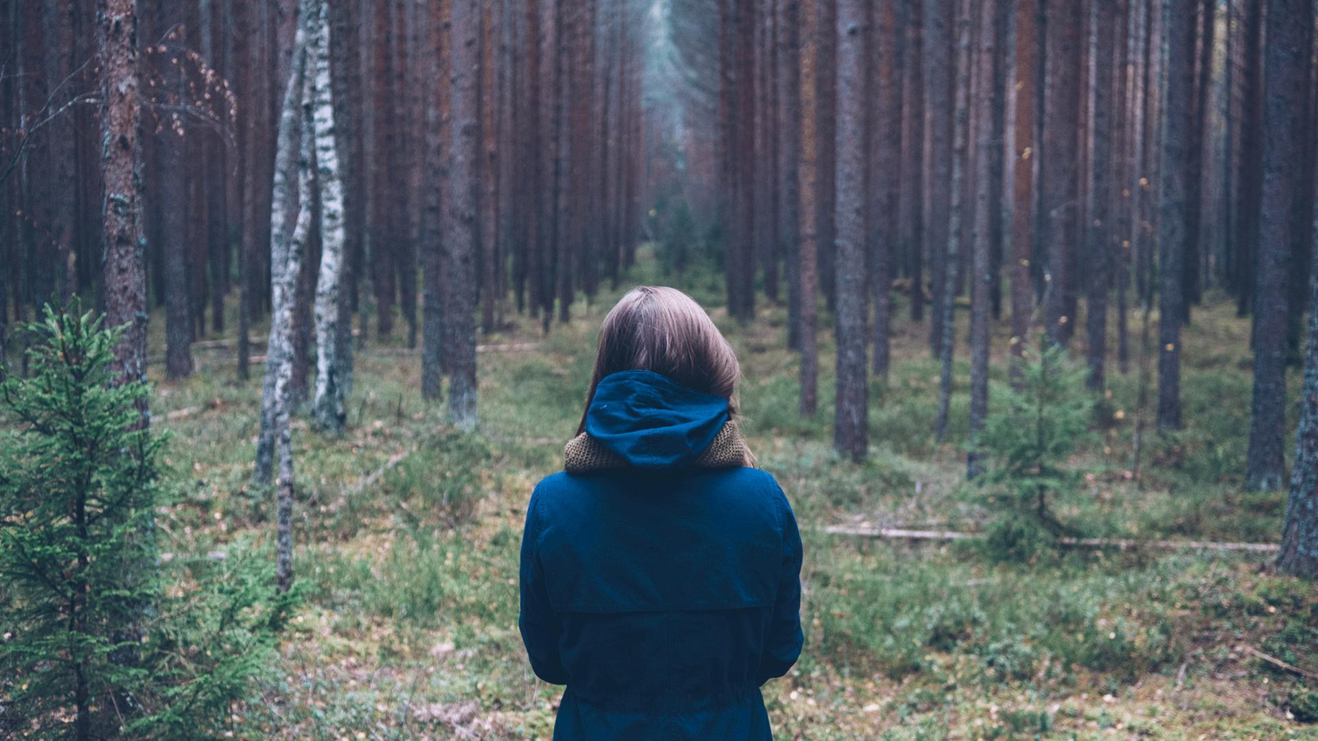 Auf poetische Weise skizziert die Autorin Großstadtmenschen, die im Wald zu leben lernen. Zu sehen: Eine Frau mit dem Rücken zur Kamera steht in einem Wald. Auf poetische Weise skizziert die Autorin Großstadtmenschen, die im Wald zu leben lernen. Zu sehen: Eine Frau mit dem Rücken zur Kamera steht in einem Wald.