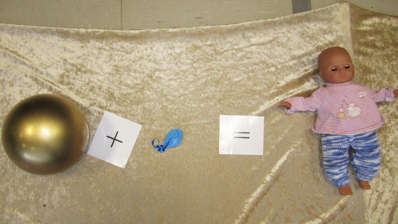 Ein Schaubild aus dem Workshop "Die große Zyklusshow". Ein Schaubild aus dem Workshop "Die große Zyklusshow".