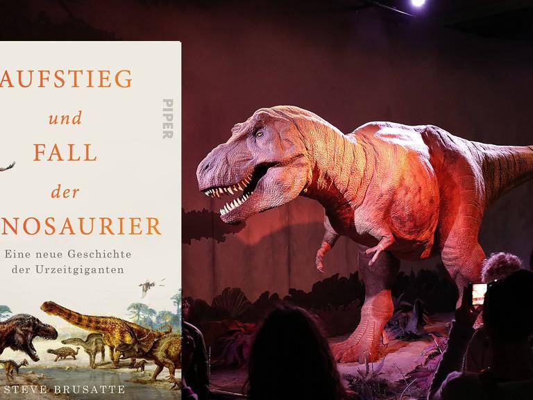 Cover von Steve Brusattes Buch "Aufstieg und Fall der Dinosaurier". Im Hintergrund ist ein Foto zu sehen, das zeigt wie Besucher einen Tyrannosaurus im "Natural History Museum" in London betrachten.