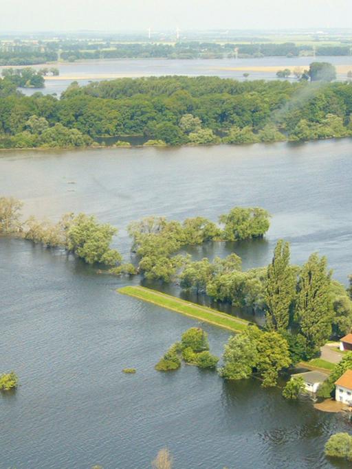 Deichbruch am 15.06.2013 im Elbe-Saale-Winkel zwischen Breitenhagen und Klein Rosenburg (Sachsen-Anhalt). Dort ist durch eine Sprengung der Deichbruch vergrößert worden. Damit soll das Hochwasser aus den überfluteten Gebieten schneller zurück in die Flüsse geleitet werden.