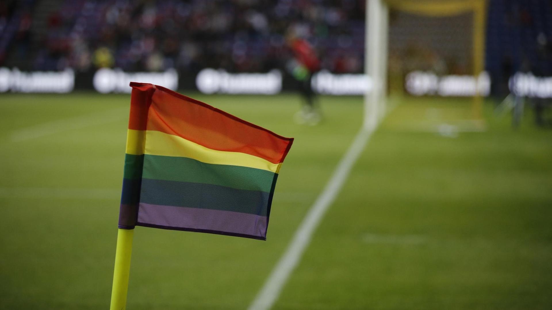 Eine Regenbogenflagge steckt im Rasen bei einem Fußballspiel. Eine Regenbogenflagge steckt im Rasen bei einem Fußballspiel.