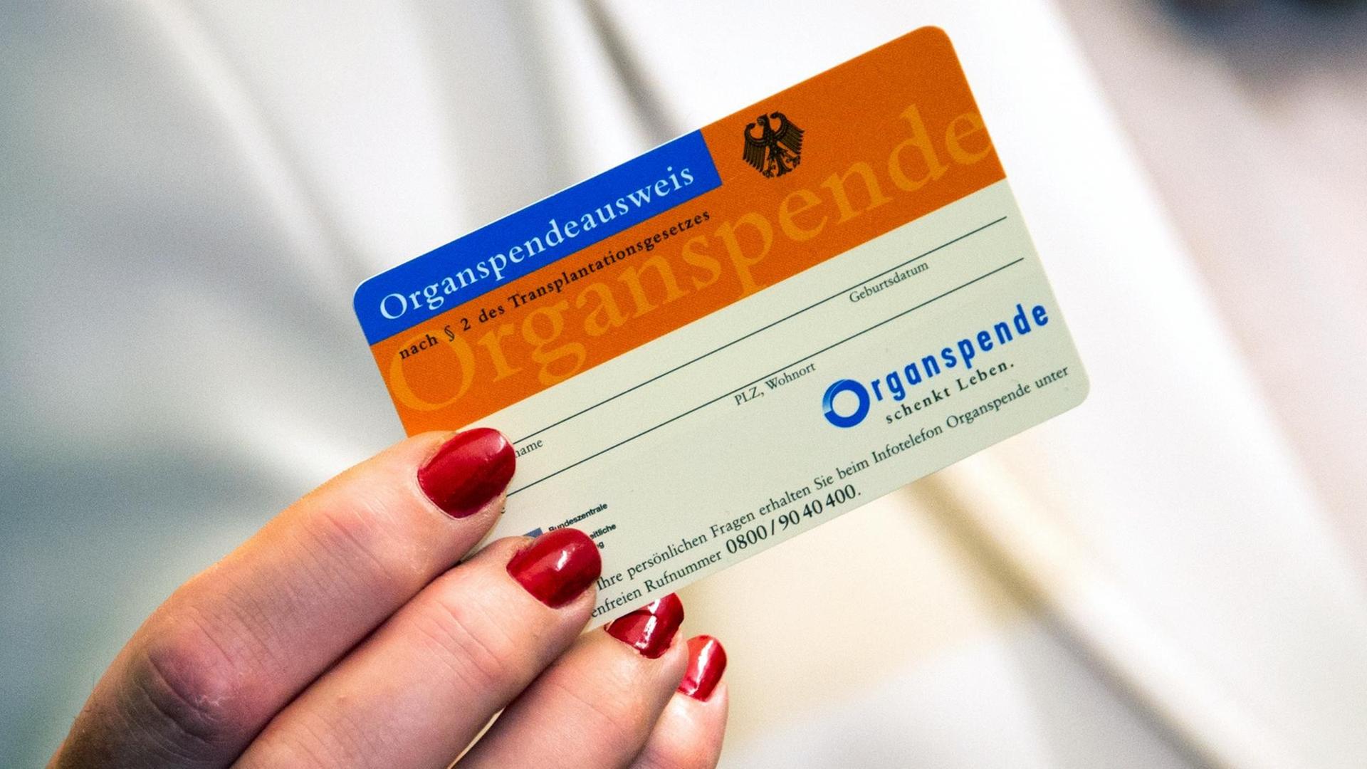 Eine Frau zeigt im Universitätsklinikum Schleswig-Holstein einen Organspendeausweis Eine Frau zeigt im Universitätsklinikum Schleswig-Holstein einen Organspendeausweis