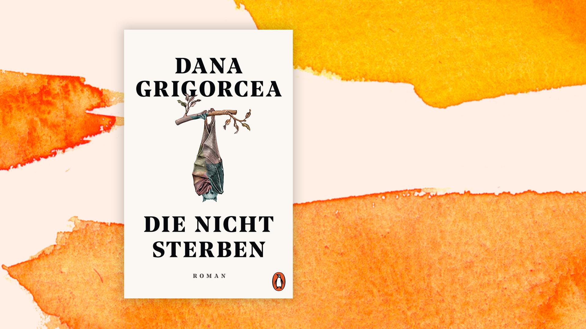 Das Buchcover zeigt die farbenfrohe Illustration einer über Kopf hängenden Fledermaus Das Buchcover zeigt die farbenfrohe Illustration einer über Kopf hängenden Fledermaus