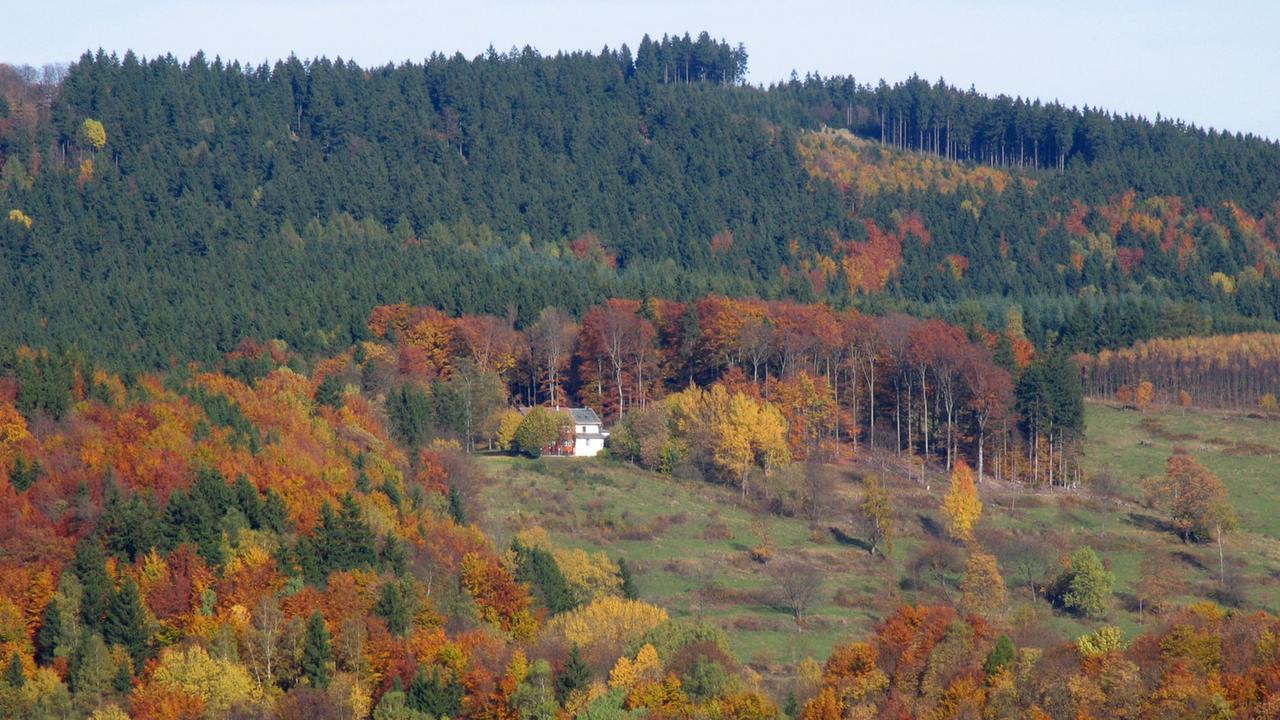 Herbstlich buntes Laub an den Bäumen im Thüringer Wald bei Kleinschmalkalden (Herbst 2013). Herbstlich buntes Laub an den Bäumen im Thüringer Wald bei Kleinschmalkalden (Herbst 2013).