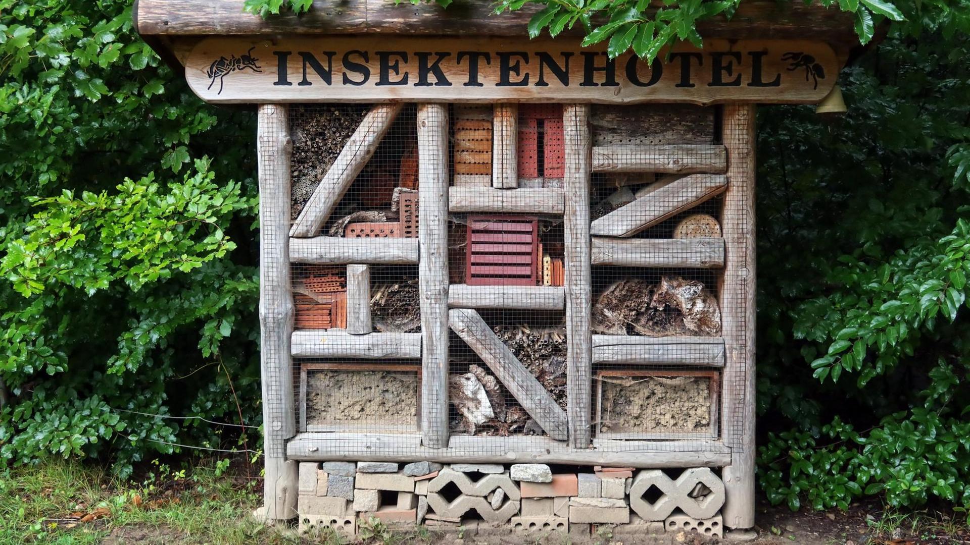 Ein Insektenhotel steht am Wegrand Ein Insektenhotel steht am Wegrand