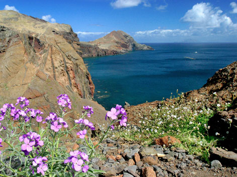Eindruckvolle Felsküste vor Madeiras Halbinsel "Ponta de Sao Lourenco"