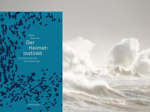Das Buchcover "Der Heimatinstinkt" von Bernd Heinrich vor dem Foto eines malerischen Wolkenhimmels