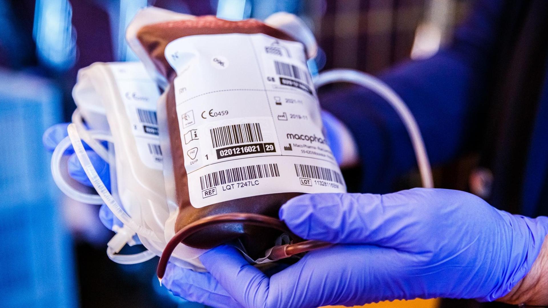 Eine DRK-Mitarbeiterin hält eine fertige Blutkonserve in den Haenden. Eine DRK-Mitarbeiterin hält eine fertige Blutkonserve in den Haenden.