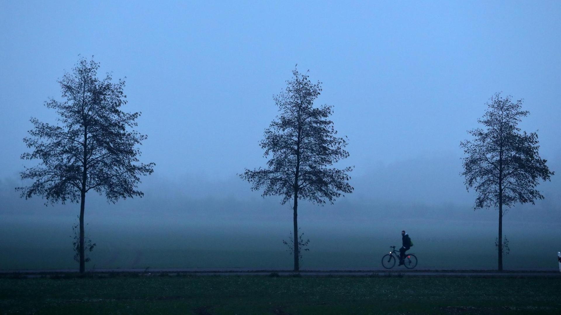 Trübes Herbstwetter Trübes Herbstwetter