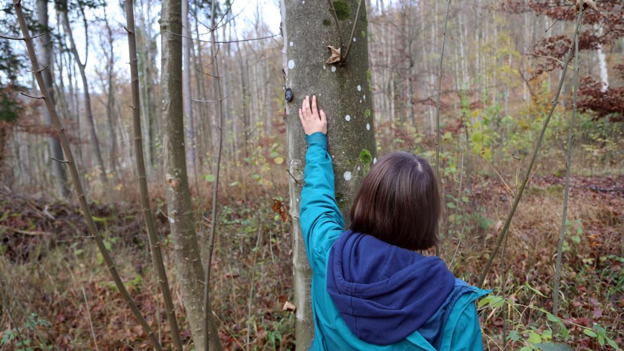 Ein junges Mädchen, von hinten zu sehen, berührt einen Baumstamm, auf dem ein kleines rundes Schild mit der Grabnummer EBS 679 hängt. Ein junges Mädchen, von hinten zu sehen, berührt einen Baumstamm, auf dem ein kleines rundes Schild mit der Grabnummer EBS 679 hängt.