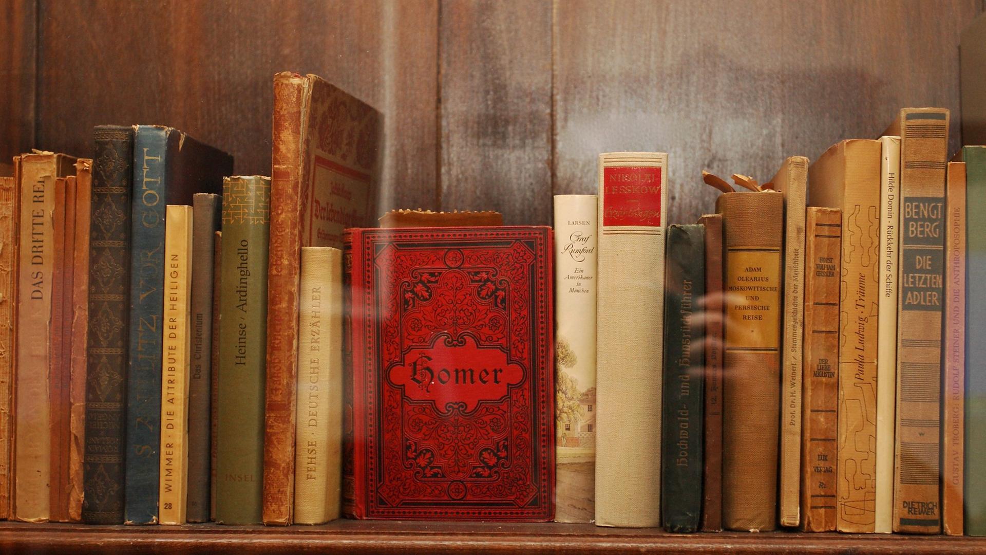 Alte Bücher in einem Regal Alte Bücher in einem Regal
