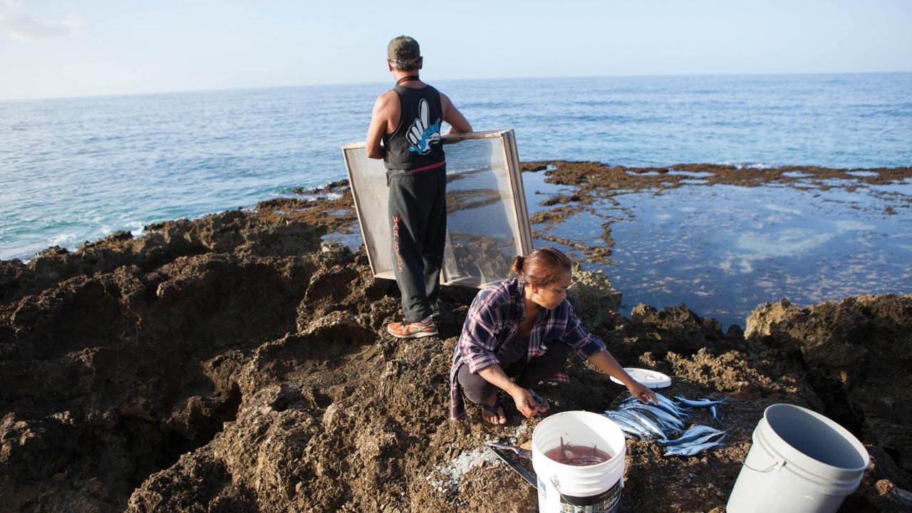 Für den Verkauf auf dem Markt: Fischfang im Pu'uhonua-Camp Für den Verkauf auf dem Markt: Fischfang im Pu'uhonua-Camp