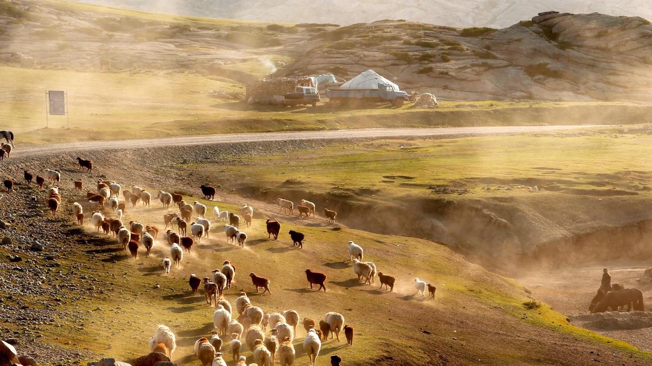 Kasachische Nomaden treiben ihre Herden durch Xinjiang-Region. Kasachische Nomaden treiben ihre Herden durch Xinjiang-Region.