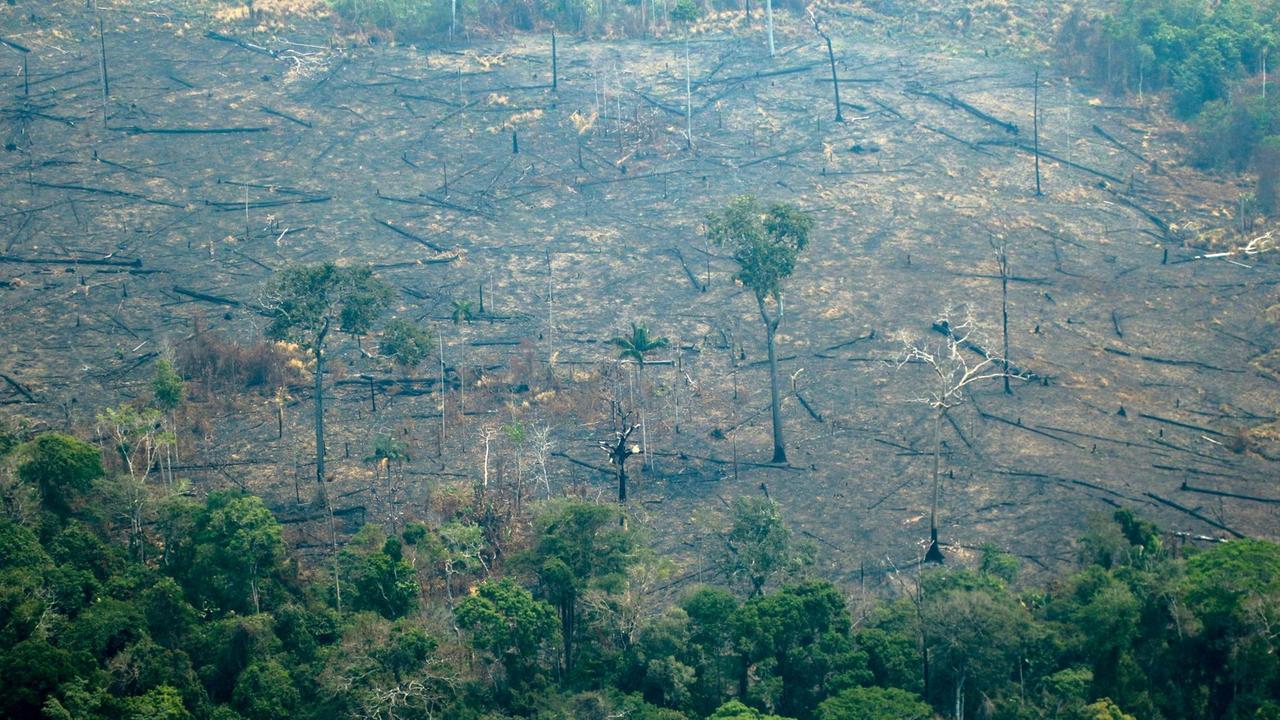 Luftbildaufnahme von einem zerstörten Waldgebiet am Amazonas in Brasilien. 