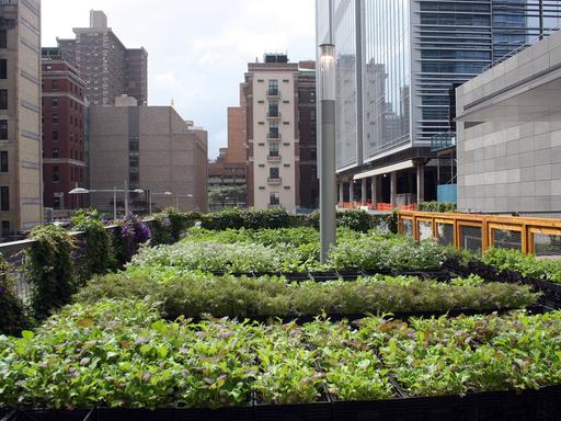 Der Garten des Restaurants "Riverpark" in Manhattan (New York). Die Beete des Gartens wurden in Milchtragekästen aus Plastik angelegt. New York ist bekannt für Wolkenkratzer und Straßenschluchten, aber die Millionenmetropole ist auch überraschend grün - und wird immer grüner. Mit "Urban Gardening" kehren viele Einwohner zurück zur Natur - ob aus Gesundheitsbewusstsein oder purer Notwendigkeit.