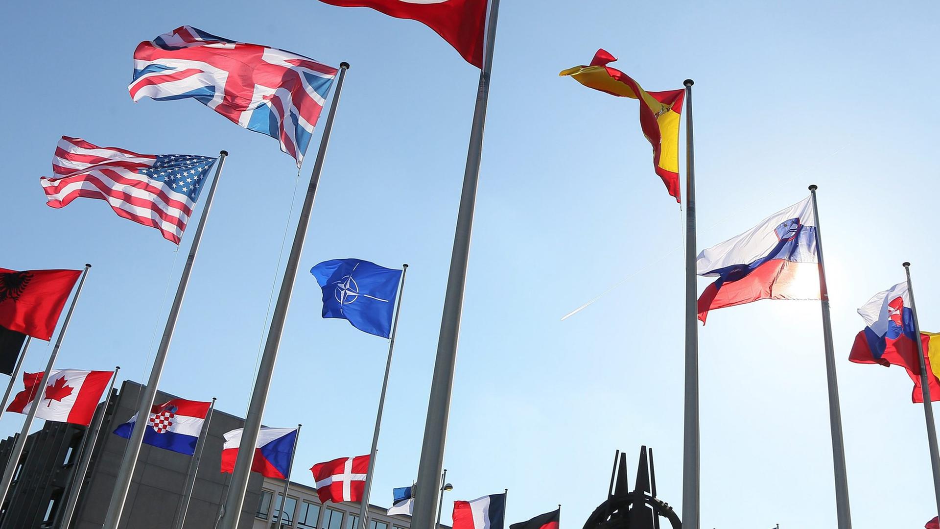 Vor dem NATO-Hauptquartier in Brüssel wehen viele Fahnen Vor dem NATO-Hauptquartier in Brüssel wehen viele Fahnen