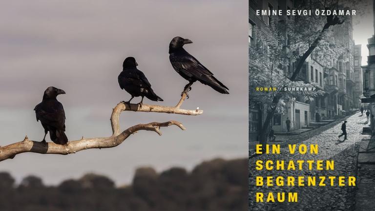 Emine Sevgi Özdamar: "Ein von Schatten begrenzter Raum" Zu sehen ist das Buchcover und ein Foto, auf dem drei Krähen auf einem Ast sitzen Emine Sevgi Özdamar: "Ein von Schatten begrenzter Raum" Zu sehen ist das Buchcover und ein Foto, auf dem drei Krähen auf einem Ast sitzen