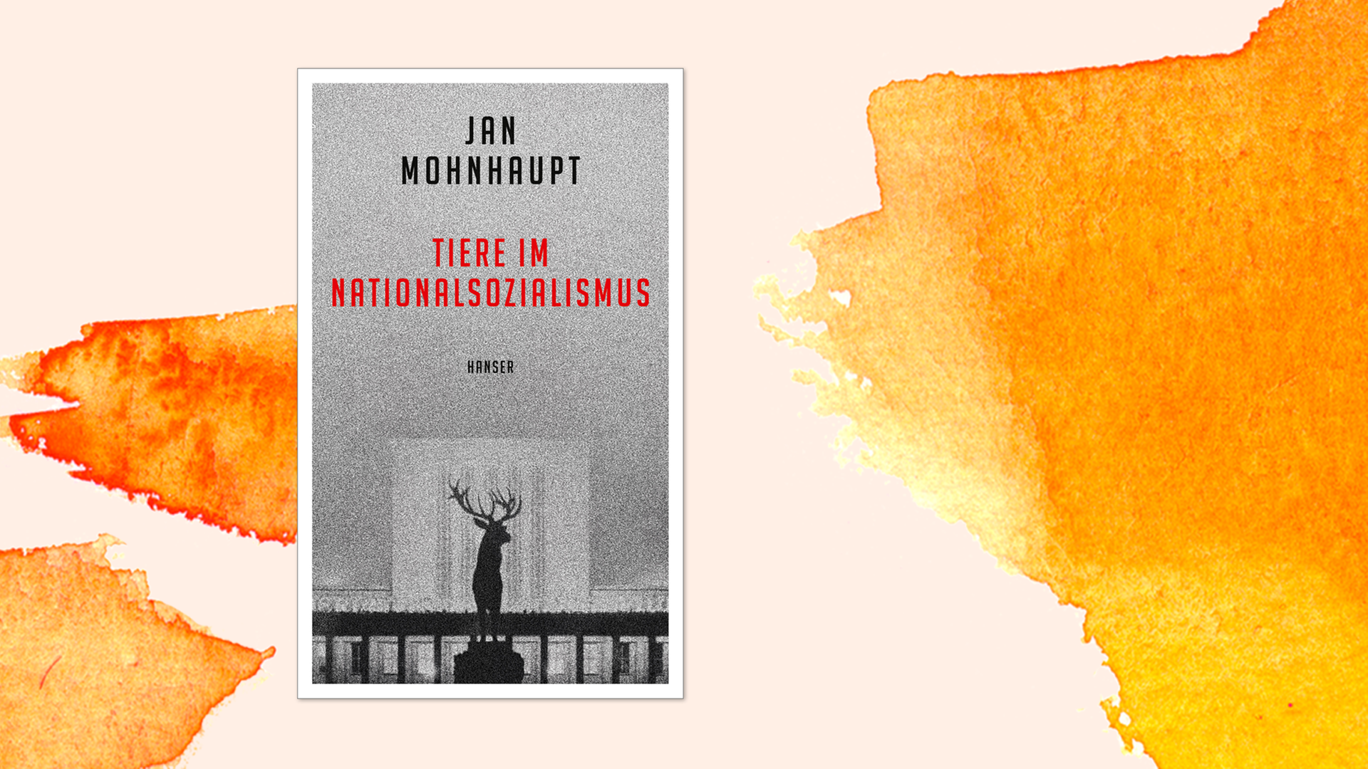 Buchcover zu "Tiere im Nationalsozialismus" von Jan Mohnhaupt auf orangefarbenem Aquarellhintergrund. Buchcover zu "Tiere im Nationalsozialismus" von Jan Mohnhaupt auf orangefarbenem Aquarellhintergrund.