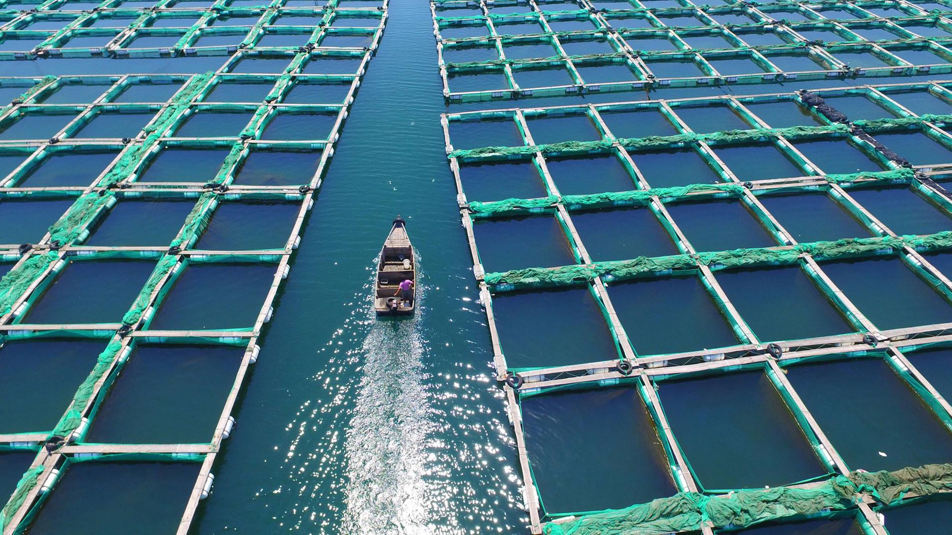 Eine Aquakultur-Farm in China Eine Aquakultur-Farm in China