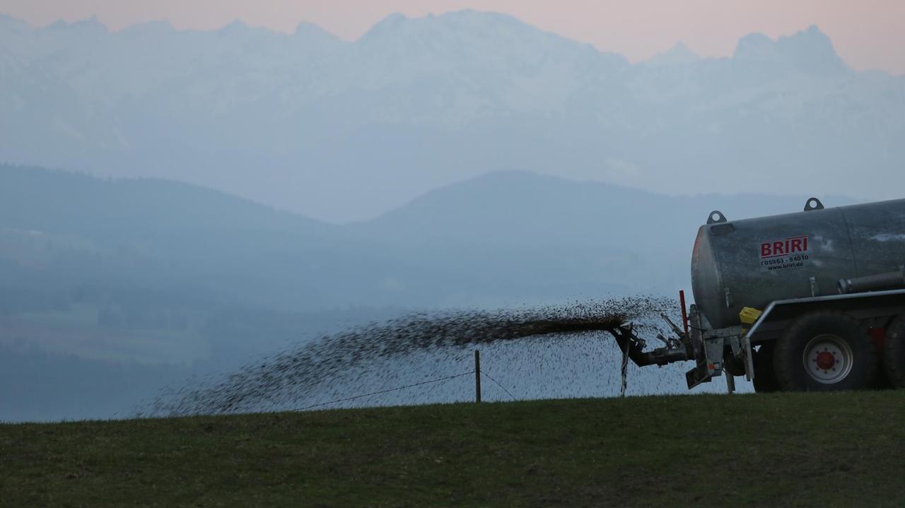 Ein Landwirt düngt auf dem 1055 Meter hohen Auerberg vor dem Panorama der Alpen eine Wiese mit Gülle.