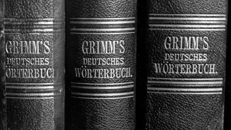 Buchrücken des Grimm'schen Wörterbuchs. Buchrücken des Grimm'schen Wörterbuchs.