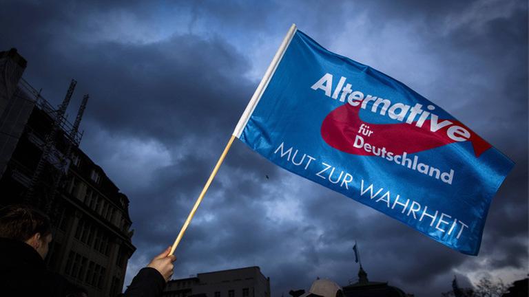 afd afd