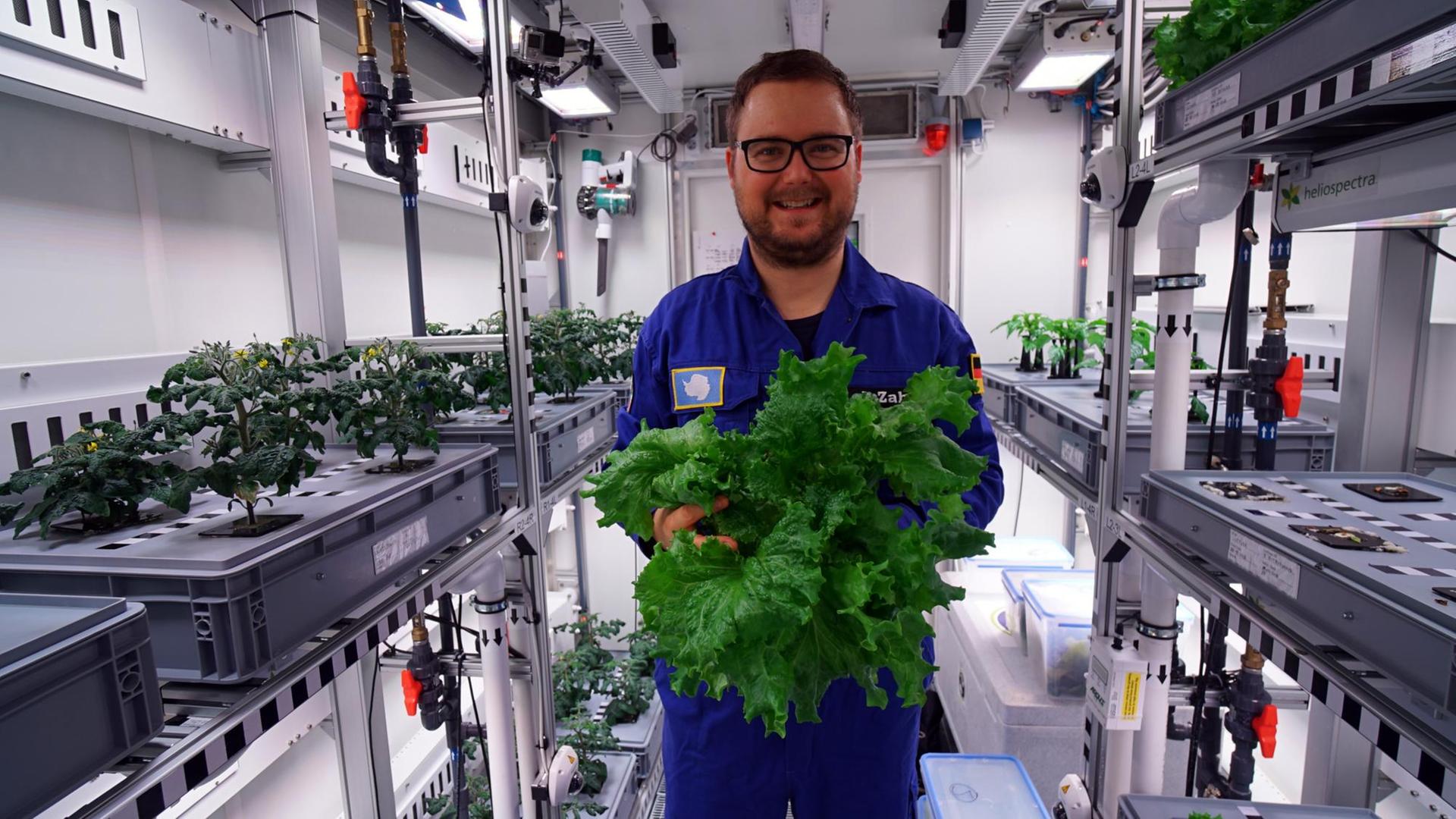 Die Pflanzen in der EDEN-ISS wachsen ohne Erde in Substrat-Containern mit geschlossenem Wasserkreislauf. Die Pflanzen in der EDEN-ISS wachsen ohne Erde in Substrat-Containern mit geschlossenem Wasserkreislauf.
