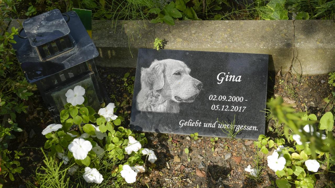 Grabstein auf Tierfriedhof in Berlin Grabstein auf Tierfriedhof in Berlin