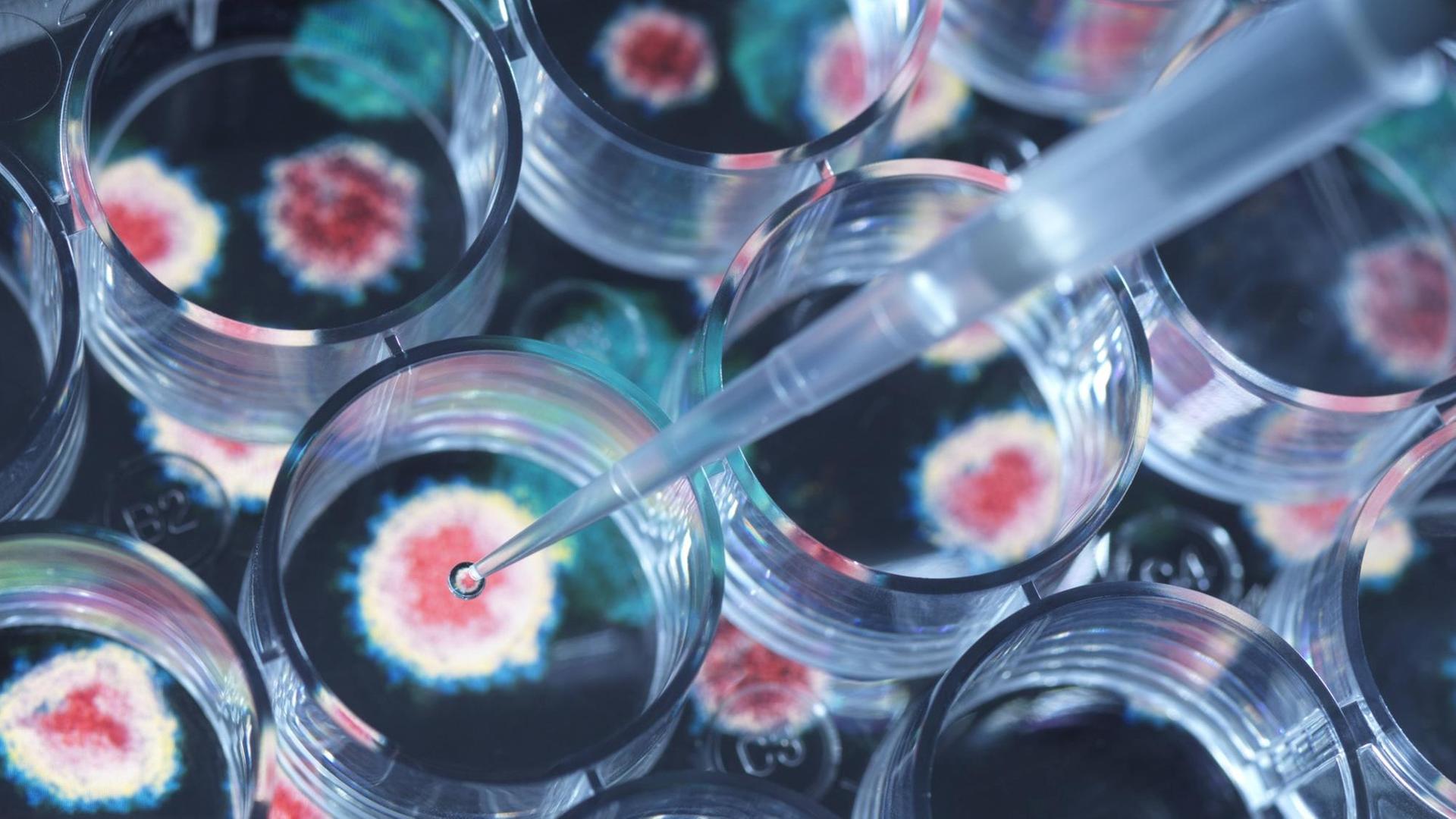 Nahaufnahme einer Pipette, mit der ein Testimpfstoff platziert wird. Nahaufnahme einer Pipette, mit der ein Testimpfstoff platziert wird.