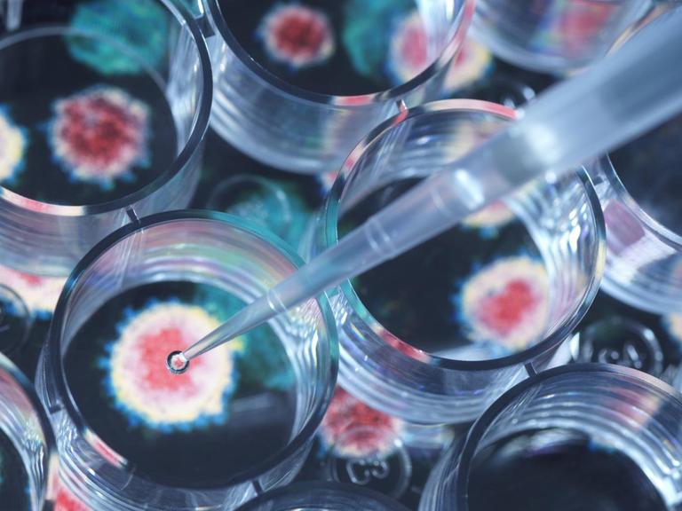 Nahaufnahme einer Pipette, mit der ein Testimpfstoff platziert wird.