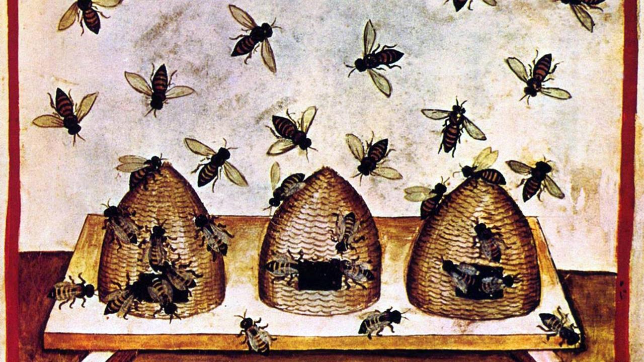 Illustration aus Ibn Butlans 'Erhaltung der Gesundheit' aus Bagdad im 11. Jahrhundert, das drei Jahrhunderte später in Italien als Tacuinum Sanitatis veröffentlicht wurde. Illustration aus Ibn Butlans 'Erhaltung der Gesundheit' aus Bagdad im 11. Jahrhundert, das drei Jahrhunderte später in Italien als Tacuinum Sanitatis veröffentlicht wurde.