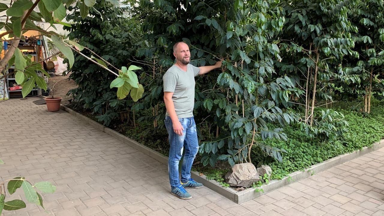 Gärtnermeister Ralf Schmitt im Tropenhaus "Klein Eden". Gärtnermeister Ralf Schmitt im Tropenhaus "Klein Eden".