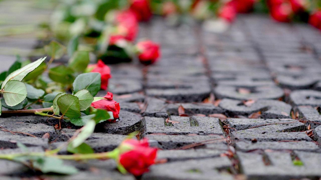 Rote Rosen liegen während eines Erinnerungsgangs zum Gedenken an die Ereignisse der Reichspogromnacht im November 1938 auf einem Mahnmal in Oldenburg. Rote Rosen liegen während eines Erinnerungsgangs zum Gedenken an die Ereignisse der Reichspogromnacht im November 1938 auf einem Mahnmal in Oldenburg.