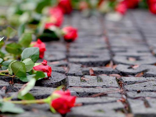Rote Rosen liegen während eines Erinnerungsgangs zum Gedenken an die Ereignisse der Reichspogromnacht im November 1938 auf einem Mahnmal in Oldenburg.