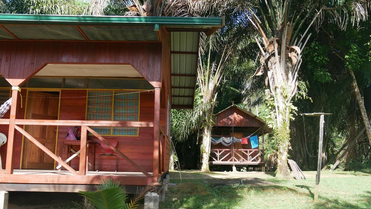 Im Touristen-Camp Pingpe stehen 10 Holzbungalows mit Veranda und Hängematte. Dahinter: Urwald.