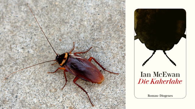 Buchcover Ian McEwan: "Die Kakerlake"