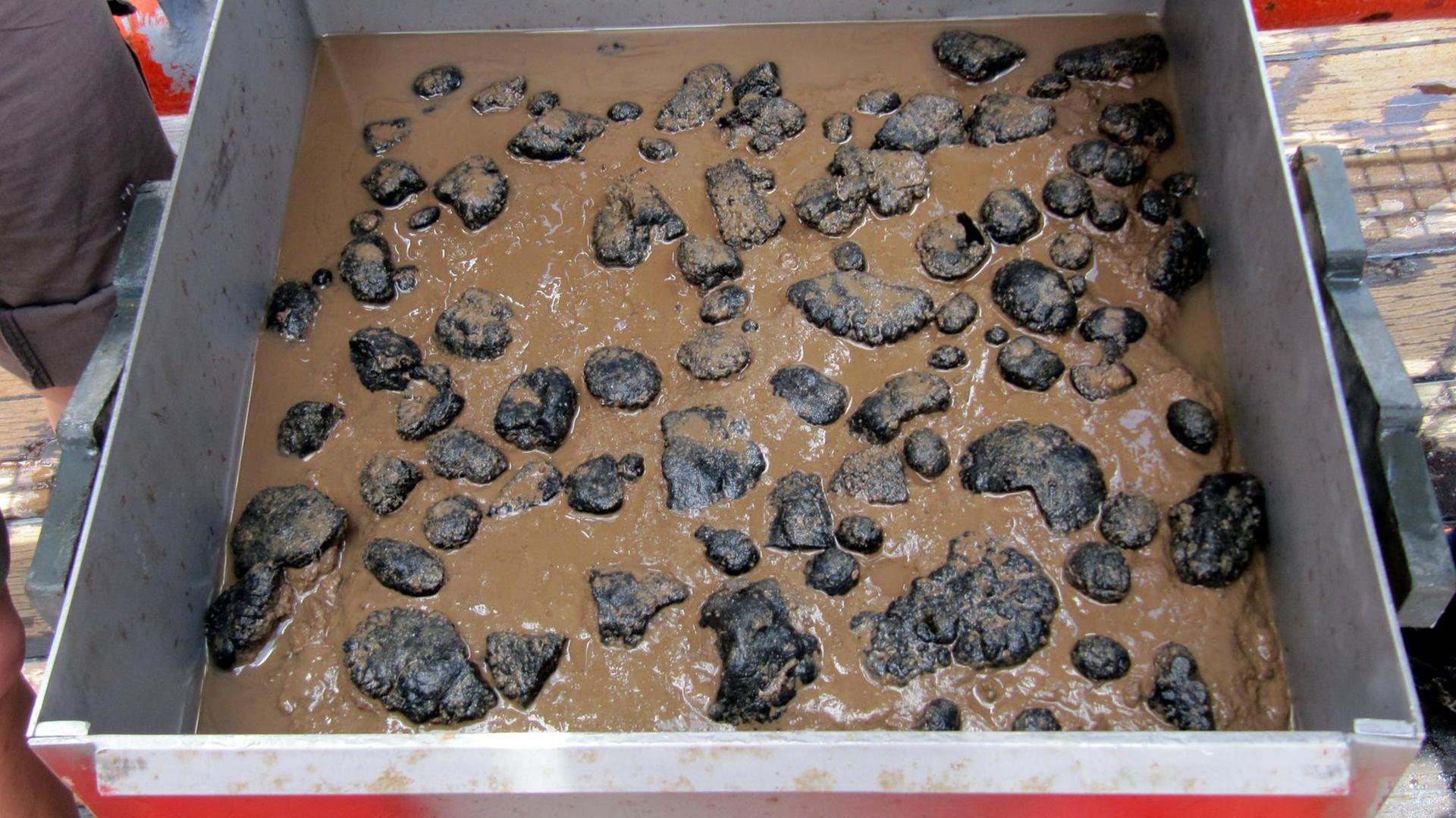Ein sogenannter Kastengreifer hat ein 50 x 50 Zentimeter großes und rund 40 Zentimeter tiefes Stück Meeresboden mit Manganknollen aus dem Pazifik ausgestanzt Ein sogenannter Kastengreifer hat ein 50 x 50 Zentimeter großes und rund 40 Zentimeter tiefes Stück Meeresboden mit Manganknollen aus dem Pazifik ausgestanzt