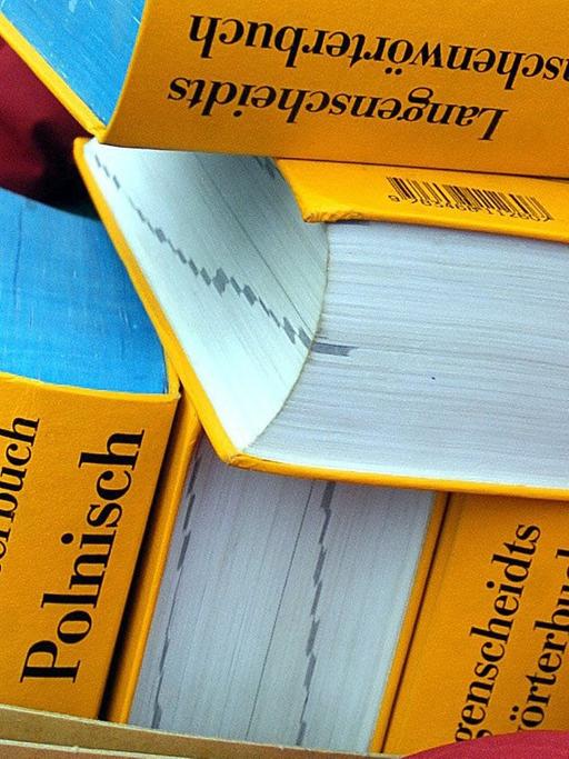 Eine Person - man sieht nur die Hand - trägt einen Karton mit einem Stapel Deutsch-Polnischer Wörterbucher