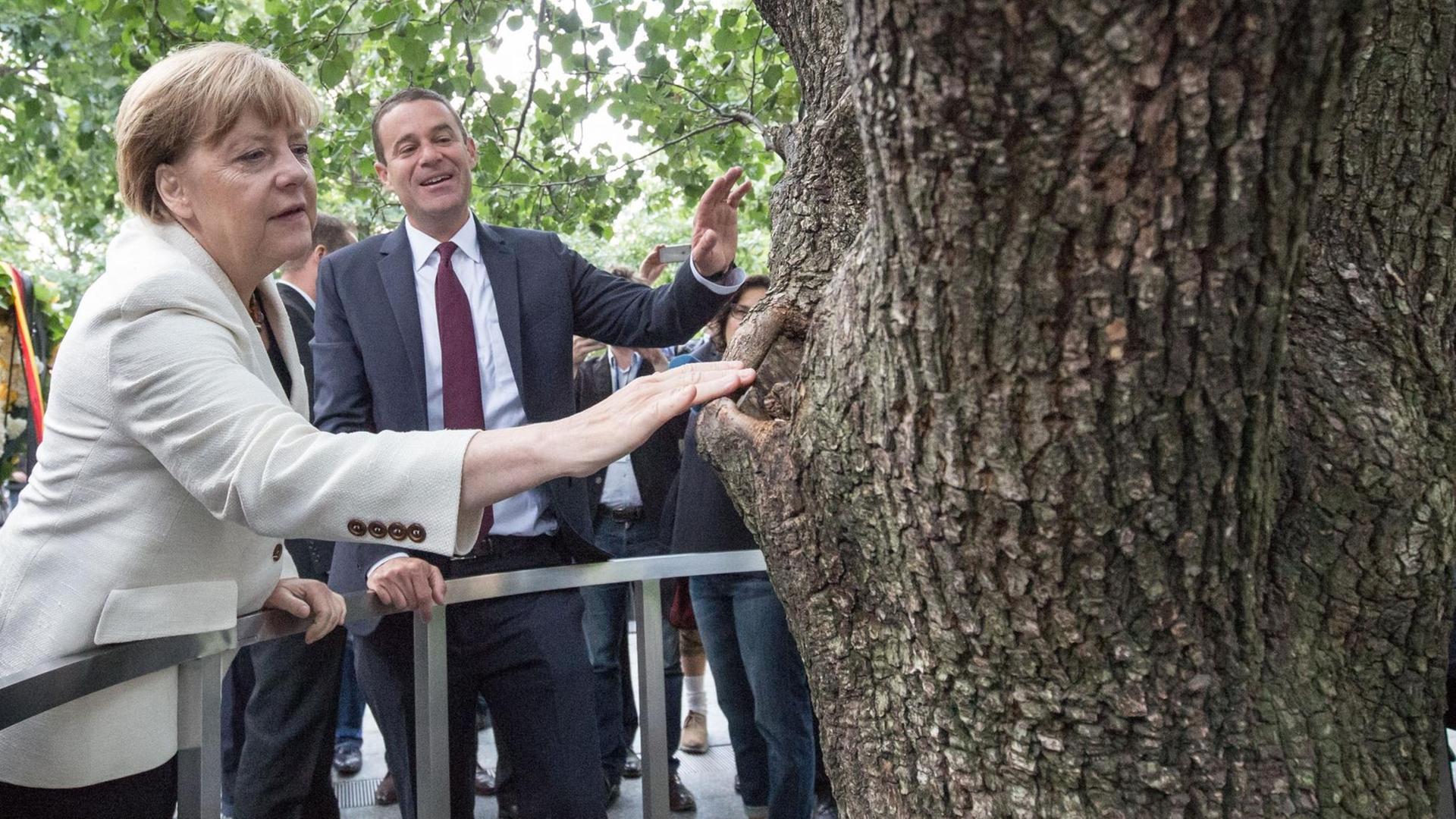 Bundeskanzlerin Angela Merkel (CDU) schaut sich am Ground Zero Memorial zusammen am 26.09.2015 in New York den Survivor Tree an. Bundeskanzlerin Angela Merkel (CDU) schaut sich am Ground Zero Memorial zusammen am 26.09.2015 in New York den Survivor Tree an.