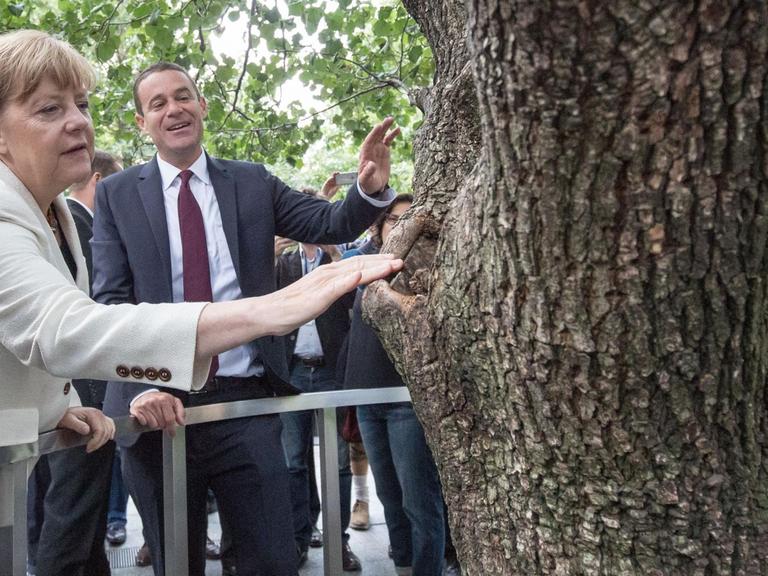 Bundeskanzlerin Angela Merkel (CDU) schaut sich am Ground Zero Memorial zusammen am 26.09.2015 in New York den Survivor Tree an.