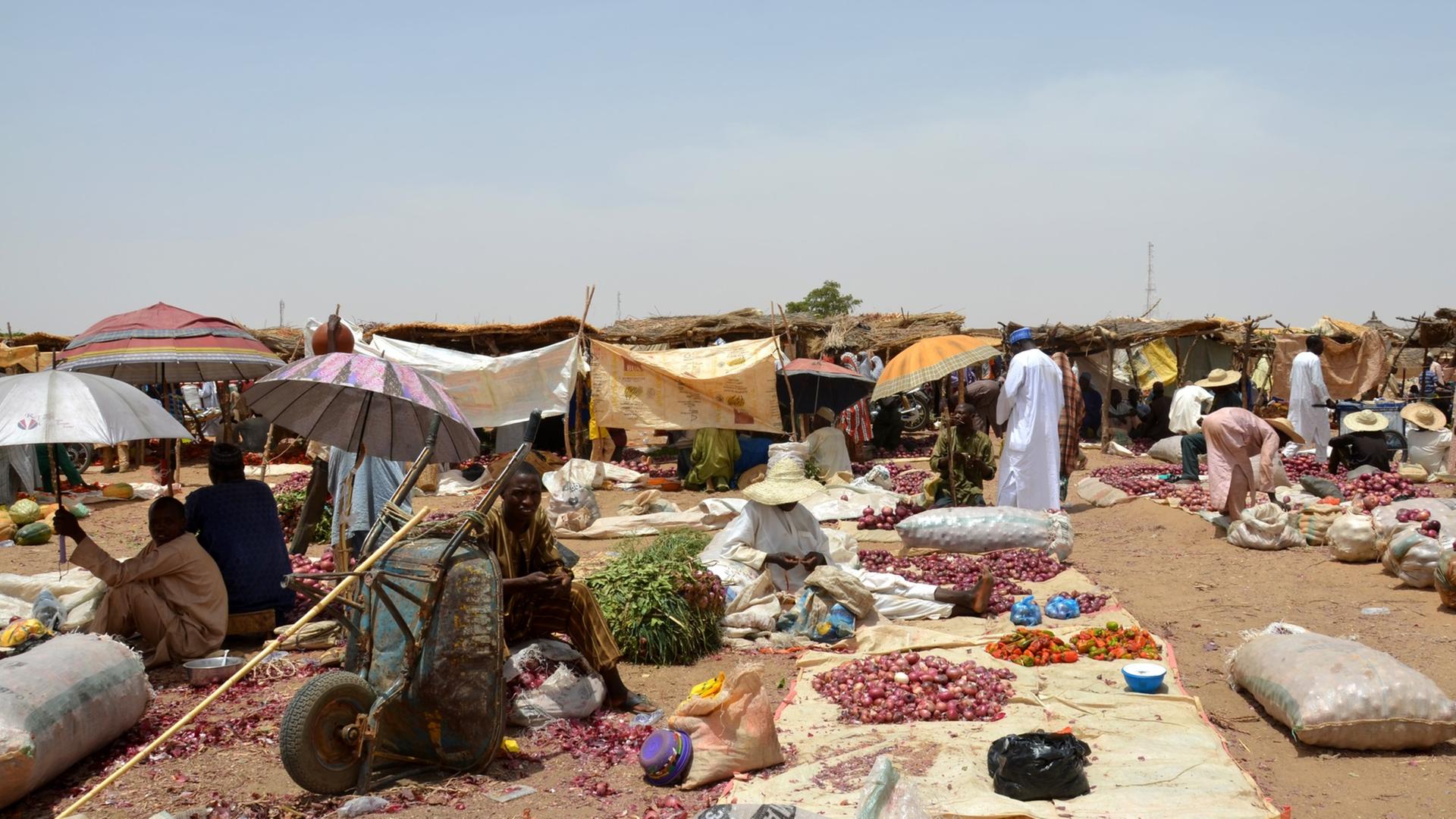Im Norden von Nigeria: Armut und Perspektivlosigkeit – Ursachen dafür, dass Boko Haram so stark werden konnte Im Norden von Nigeria: Armut und Perspektivlosigkeit – Ursachen dafür, dass Boko Haram so stark werden konnte