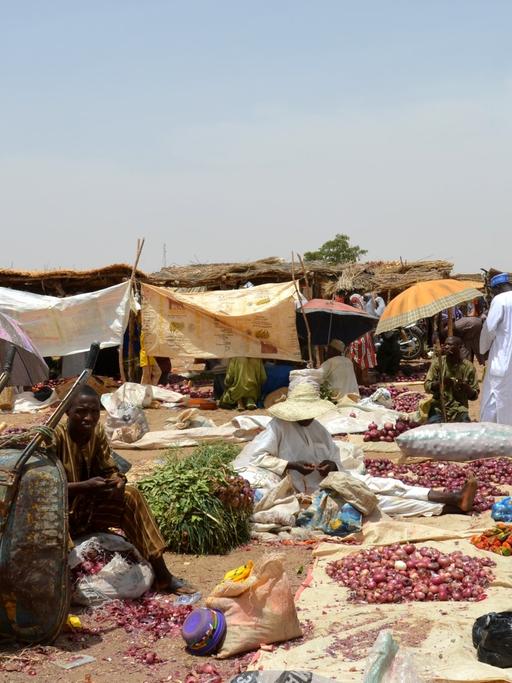 Im Norden von Nigeria: Armut und Perspektivlosigkeit – Ursachen dafür, dass Boko Haram so stark werden konnte