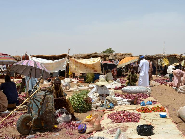 Im Norden von Nigeria: Armut und Perspektivlosigkeit – Ursachen dafür, dass Boko Haram so stark werden konnte