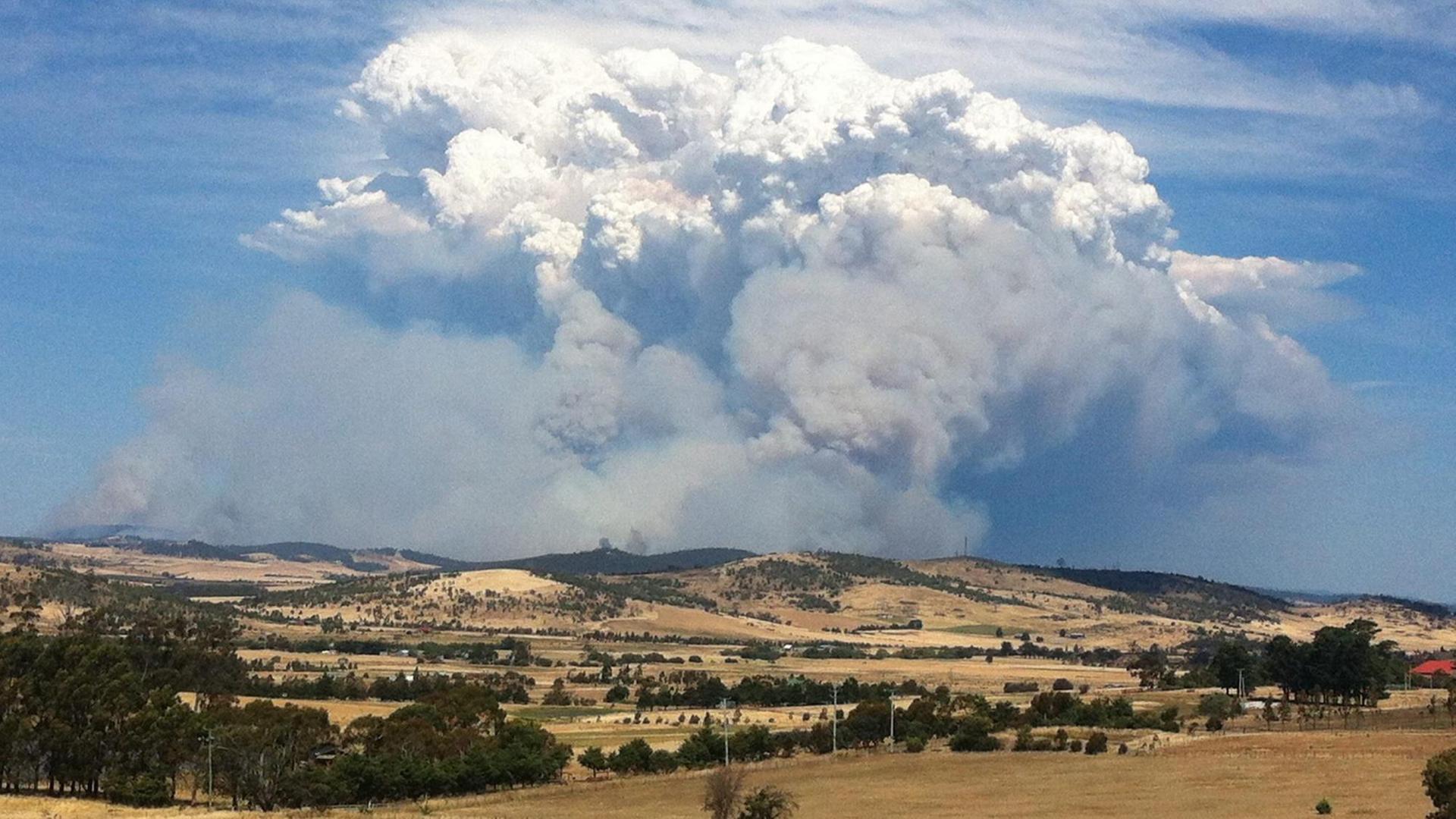 Wald- und Buschfeuer in Tasmanien Wald- und Buschfeuer in Tasmanien