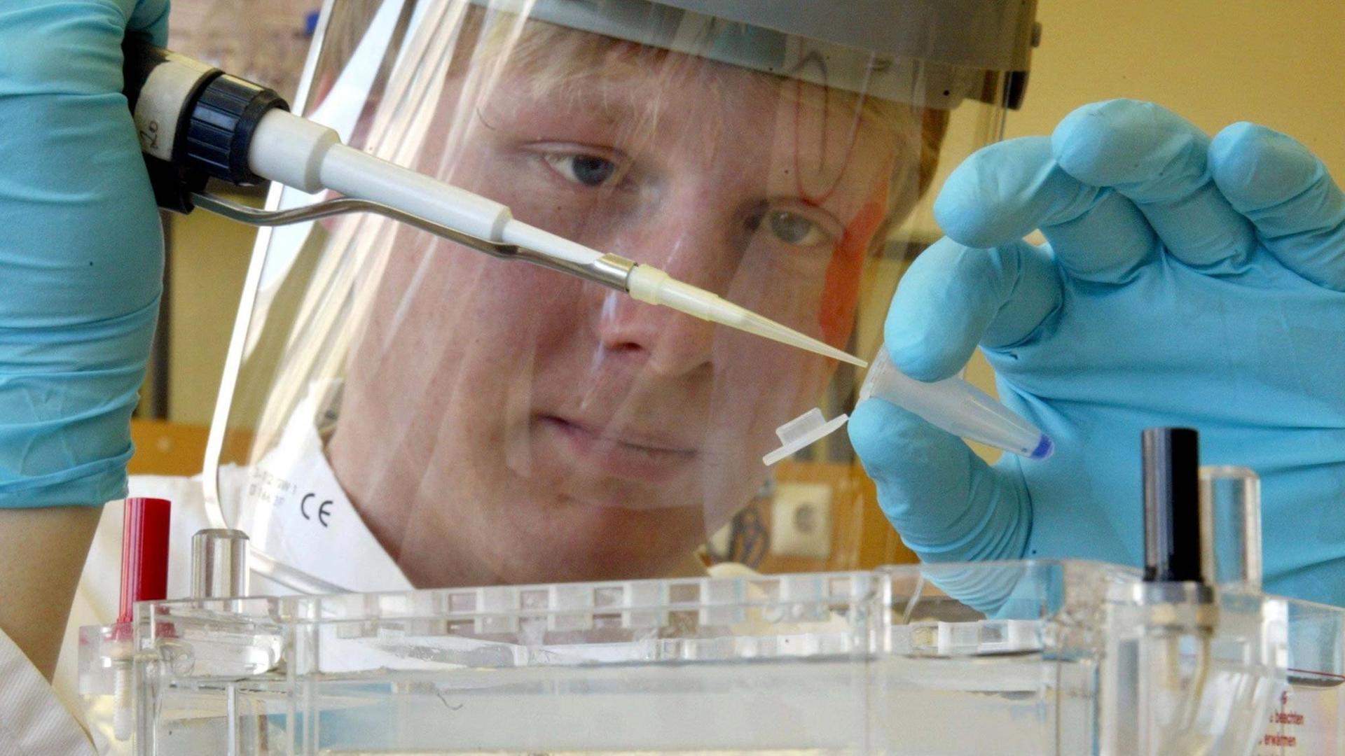 Biologielaborant Lars Lawrenz am 22.4.2002 im XLAB, Göttinger Experimentallobor für junge Leute, in Göttingen in eine Pipette auf, bevor sie in eine Schale mit Trenngel (Vordergrund) gegeben wird. Biologielaborant Lars Lawrenz am 22.4.2002 im XLAB, Göttinger Experimentallobor für junge Leute, in Göttingen in eine Pipette auf, bevor sie in eine Schale mit Trenngel (Vordergrund) gegeben wird.