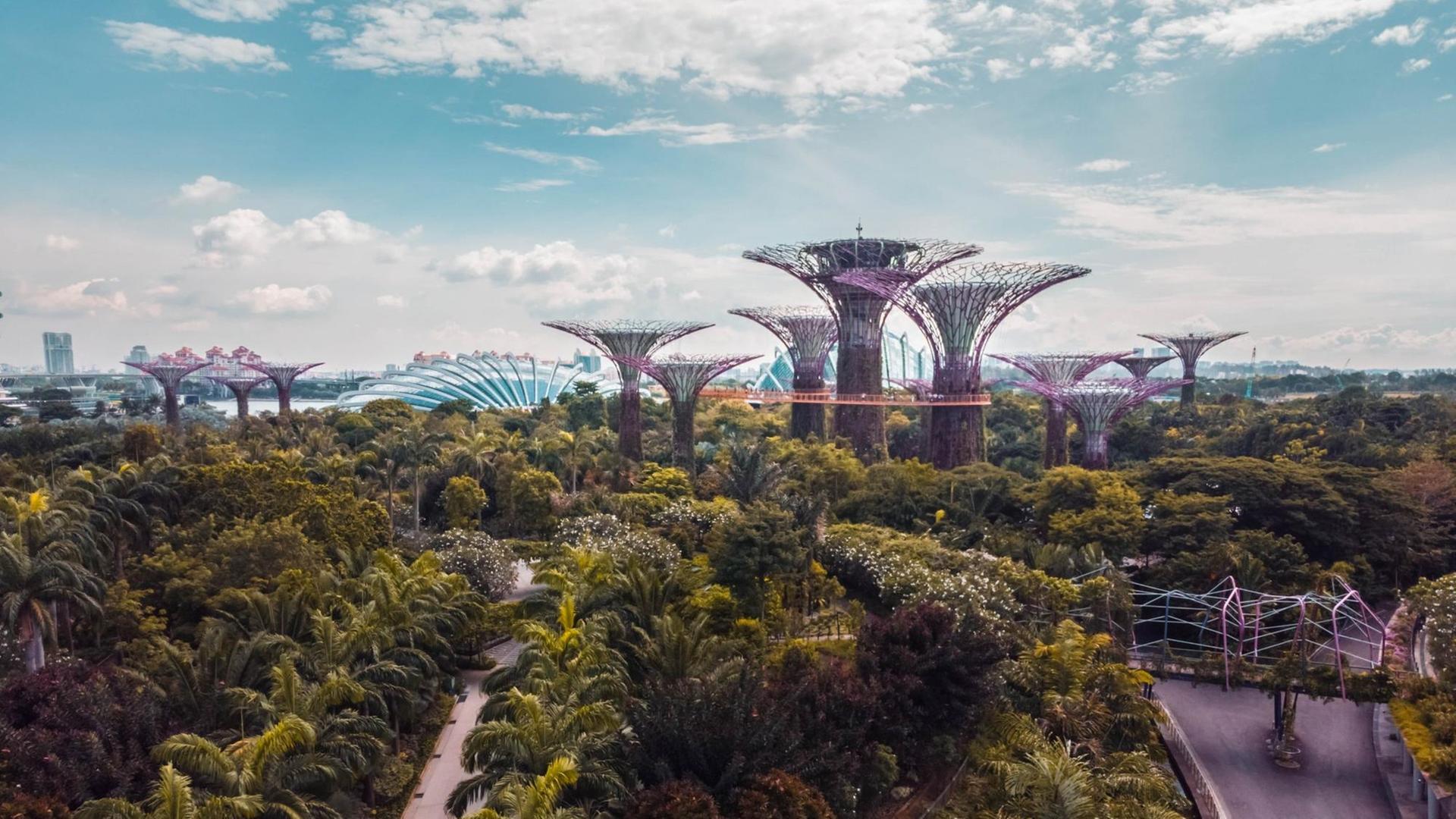 Begrünte Baumwipfel mit Beleuchtung muten futuristisch an in der Parklandschaft von Marina Bay in Singapur.